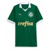 Echipament fotbal Palmeiras Estevao Willian #41 Tricou Acasa 2024-25 maneca scurta